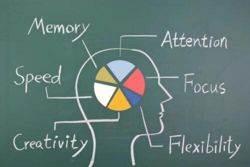 Cognitive training for seniors - parts of brain graphic